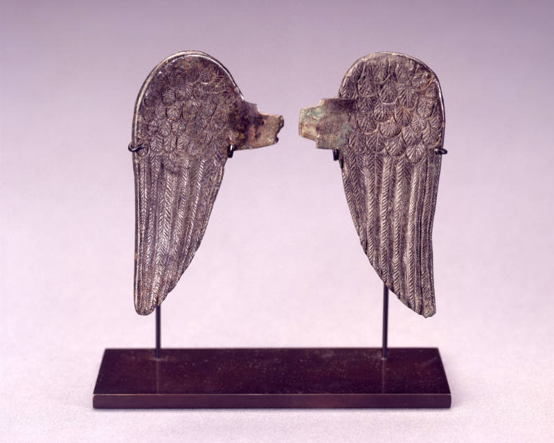 Pair of Wings