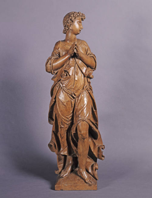 Adoring Angel