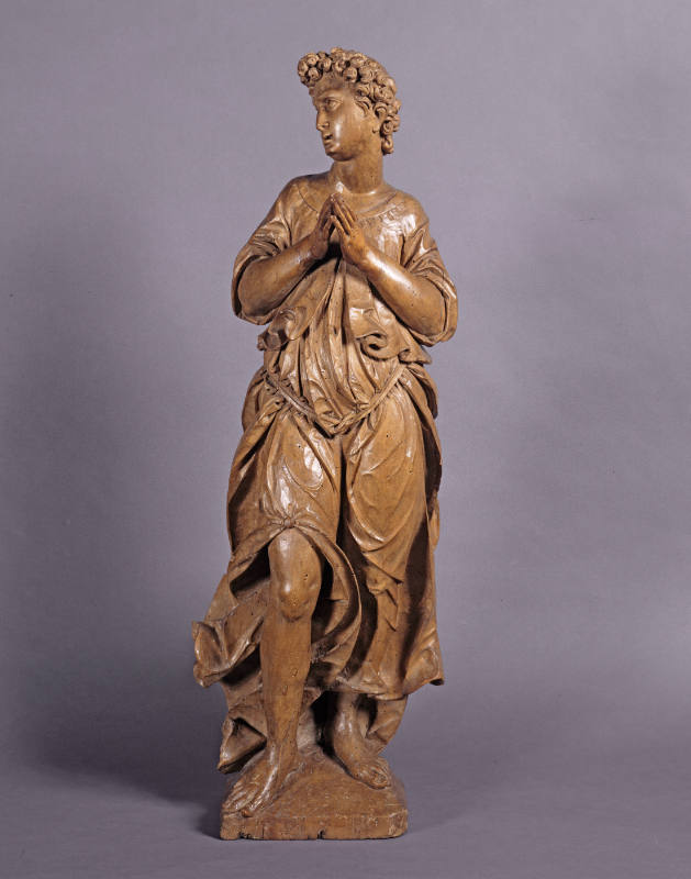 Adoring Angel