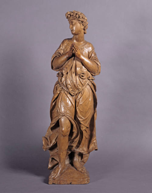 Adoring Angel