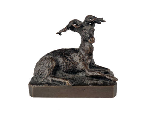 Stag