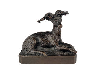 Stag