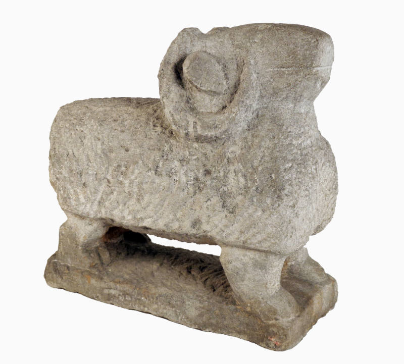 Ram