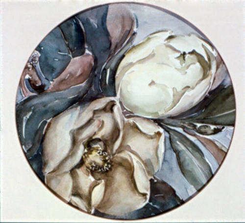 Magnolia