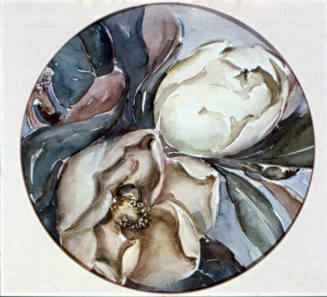 Magnolia