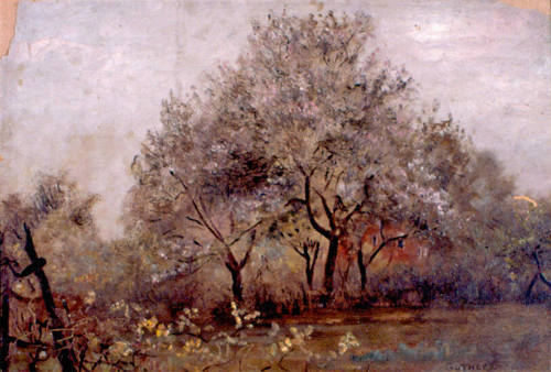 Garden at Oak Rued, Rockville, Maryland