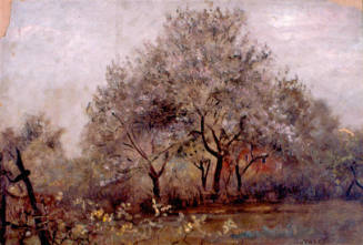 Garden at Oak Rued, Rockville, Maryland