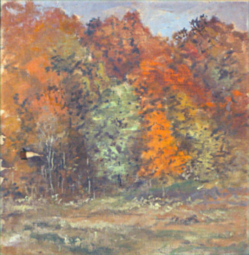 Autumn Woods, Maryland