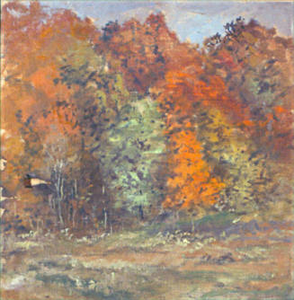 Autumn Woods, Maryland