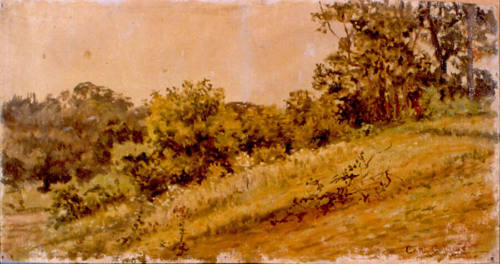 Wooded Hillside, Maryland