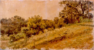 Wooded Hillside, Maryland