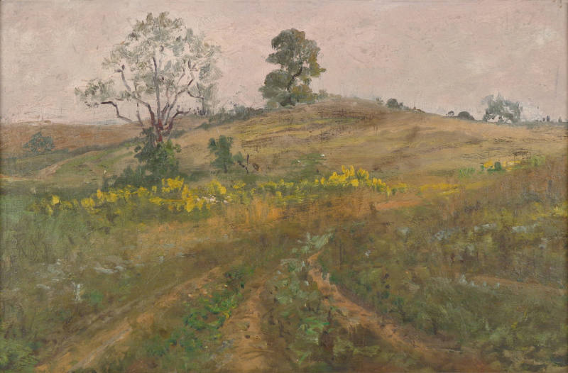 Hill, West of Elk Lake, Pennsylvania