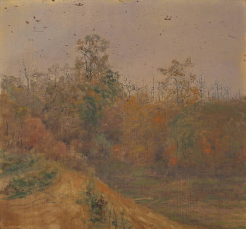 Spring Woods at "Oak Rued," Rockville, Maryland