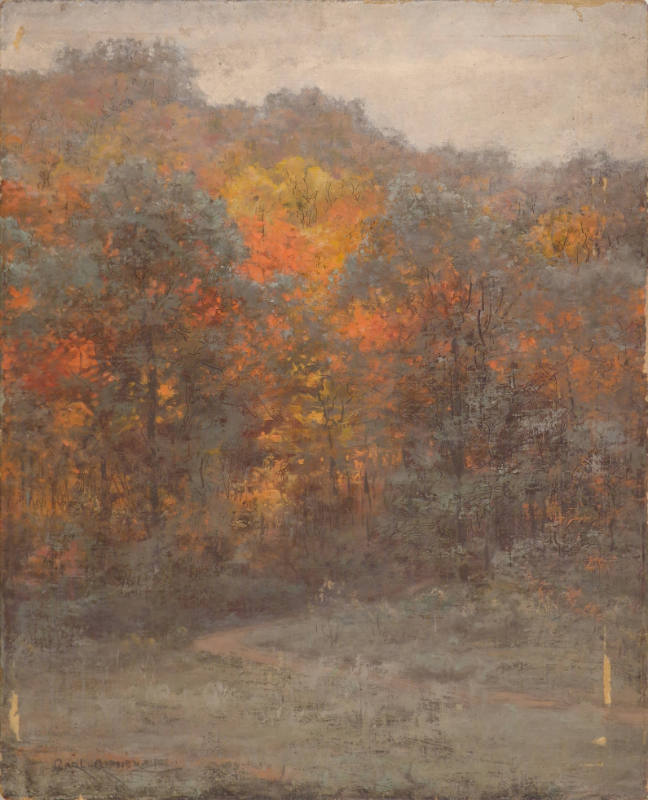 Autumn Woods, Rockville, Maryland