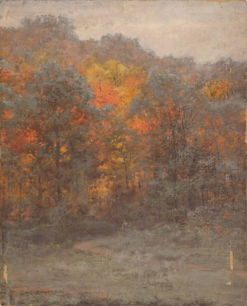 Autumn Woods, Rockville, Maryland