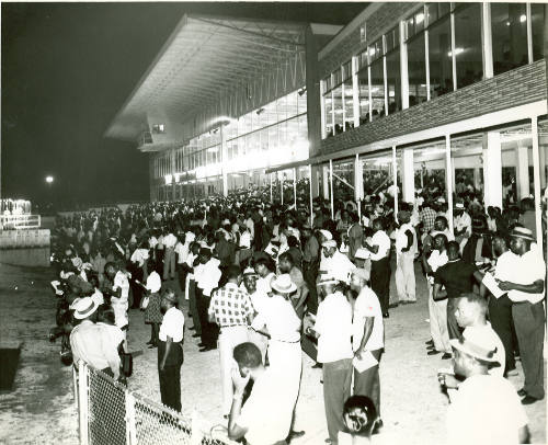 [Large Gathering in Front of a Building]