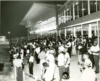 [Large Gathering in Front of a Building]