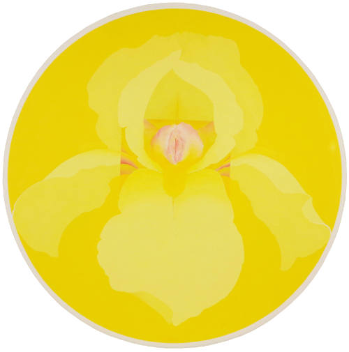 Fertile Flower