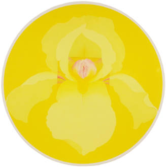 Fertile Flower