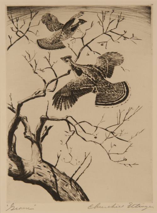 Grouse