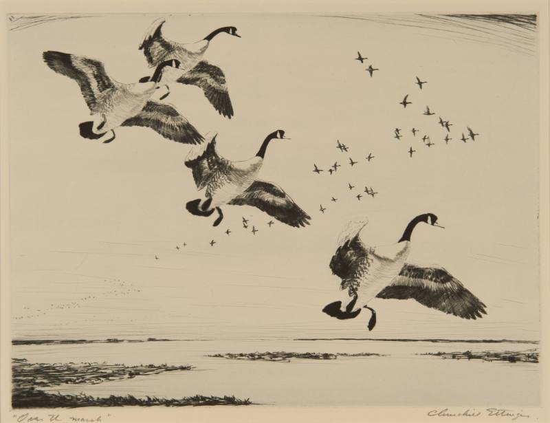 Over the Marsh