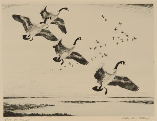 Over the Marsh