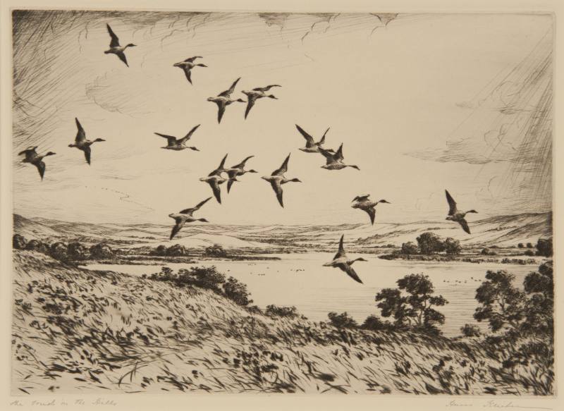 The Pond in the Hills