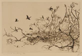 Camerant Rookery, Florida