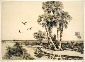 Palmettos, Florida