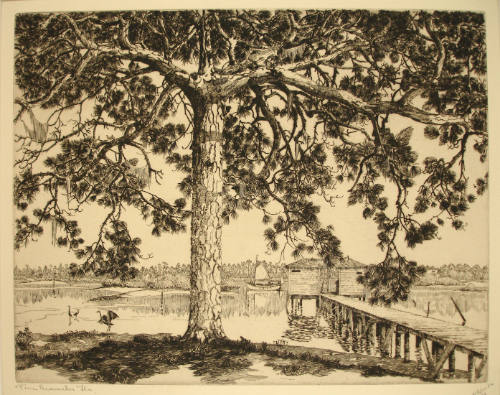 Pine Branches, Florida