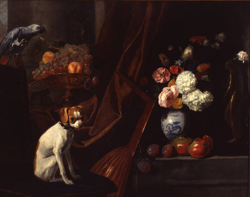 Pieter Boel