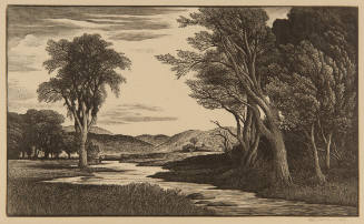 A New England Stream
