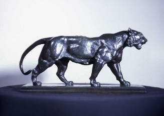 Tigre Qui Marche (Walking Tiger)