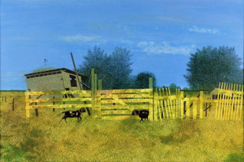 The Story on the Fence