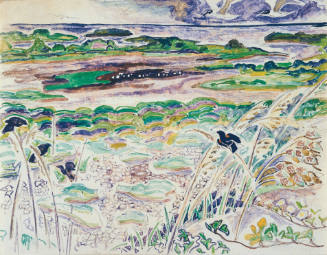 Lagoons - Horn Island