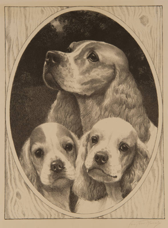 Cocker Family