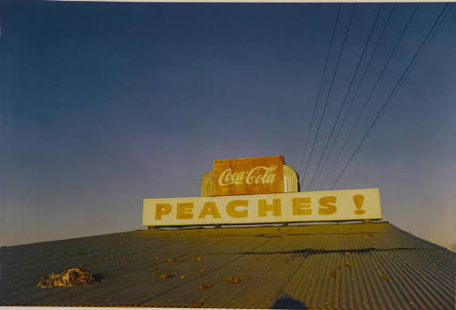 Peaches