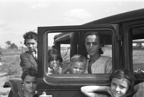 The Family of a Migratory Fruit Worker from Tennessee Now Camped in a Field near the Packinghouse at Winter Haven, Florida