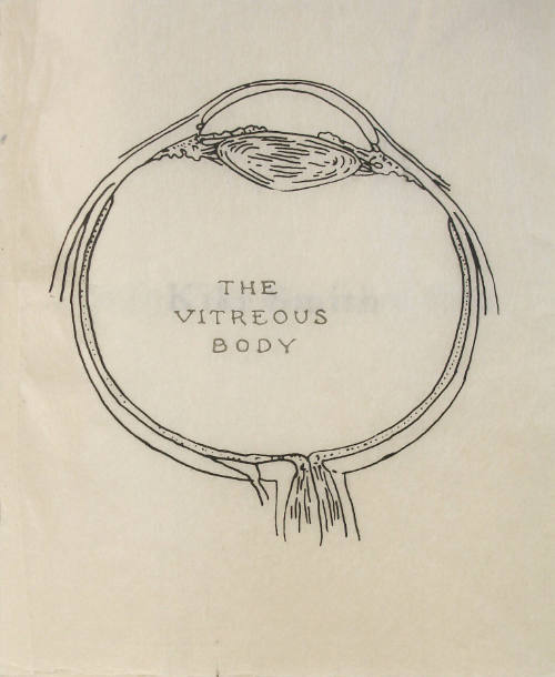 Vitreous Body