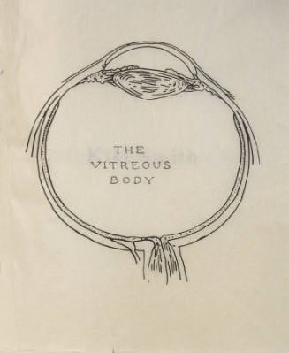 Vitreous Body