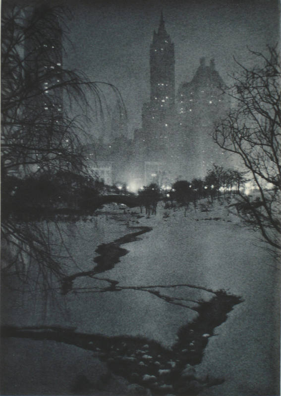 The White Night