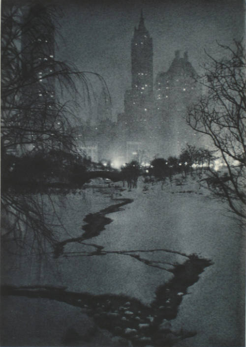 The White Night