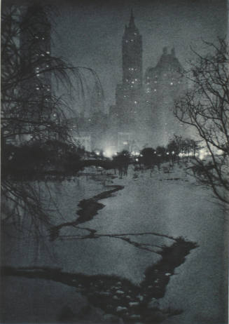 The White Night