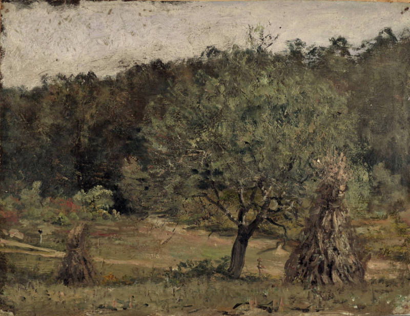 Apple Tree and Corn Shocks, Maryland