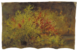 Shrubbery in Bloom, Springtime, Maryland