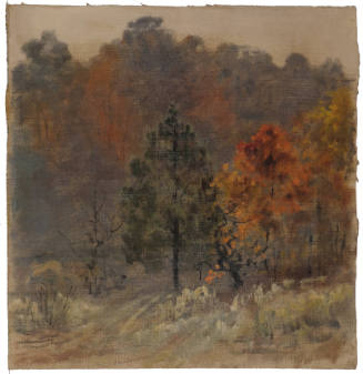 Autumn Woods, Rockville, Maryland