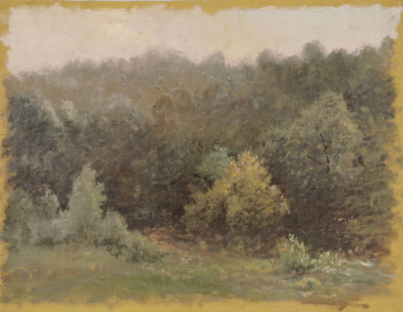 Road Pass in Summer Woods, Rockville, Maryland