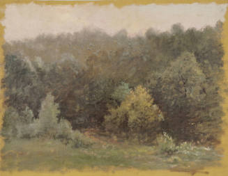 Road Pass in Summer Woods, Rockville, Maryland