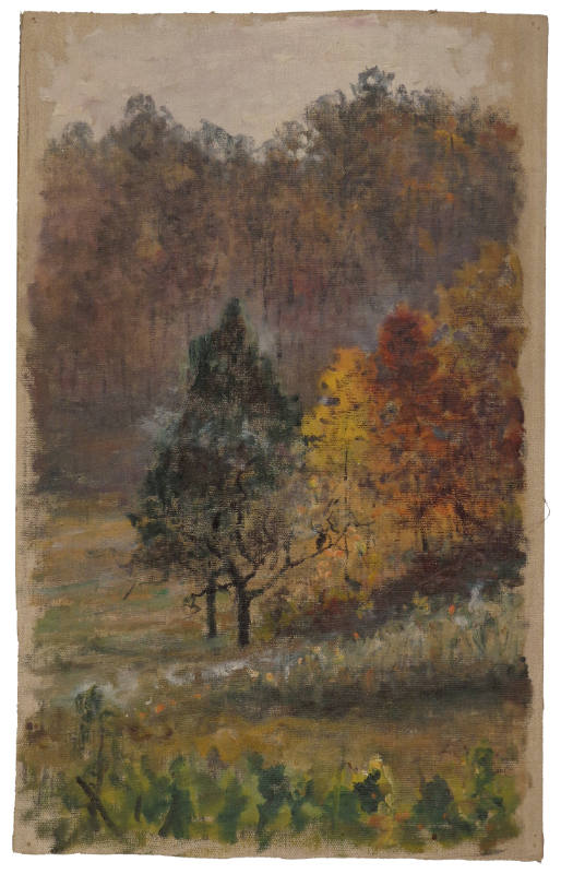 Autumn Woods Along Road to Rockville, Maryland