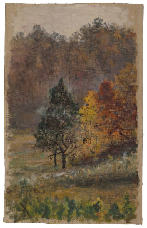 Autumn Woods Along Road to Rockville, Maryland